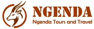 ngenda-company-logo